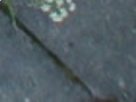 https://image.noelshack.com/minis/2017/39/6/1506794238-20-t9ghle73.png