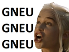 https://image.noelshack.com/fichiers/2017/39/7/1506880265-1503949483-1491737789-dae-gneu.png