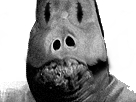 https://image.noelshack.com/minis/2017/39/7/1506892948-3301447250-1-9-jh5vsbxy.png