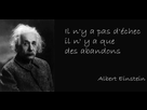 https://image.noelshack.com/fichiers/2017/40/2/1507053502-c5153263.jpg