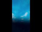 https://image.noelshack.com/fichiers/2017/40/3/1507072081-22207280-10155733891295891-661889730-n.jpg