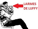 https://image.noelshack.com/fichiers/2017/40/5/1507316739-katakuri-larmes-de-luffy.jpeg
