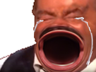 https://image.noelshack.com/minis/2017/40/6/1507336437-1493289235-risibouchetrois.png