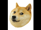 https://image.noelshack.com/fichiers/2017/40/7/1507495901-doge.png