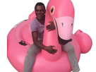 https://image.noelshack.com/fichiers/2017/41/2/1507669873-desaillyflamantrose.jpg