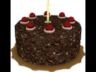 https://www.noelshack.com/2017-41-3-1507672885-200px-portal-cake2.png