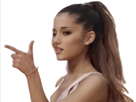 https://image.noelshack.com/fichiers/2017/41/3/1507675314-arianashot.png
