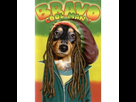 https://image.noelshack.com/fichiers/2017/41/4/1507831547-carte-pets-rock-bravo-cool-man.jpg