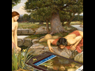 https://image.noelshack.com/fichiers/2017/41/5/1507926281-narcisse.png