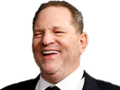 https://image.noelshack.com/fichiers/2017/41/6/1508005801-weinstein3.png