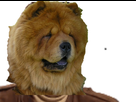 https://image.noelshack.com/minis/2017/41/7/1508027471-ichowchow-1.png