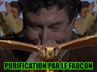 https://image.noelshack.com/minis/2017/42/2/1508262734-purificationfaucon.png