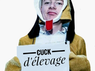 https://image.noelshack.com/minis/2017/42/3/1508360021-20171018-133736-02.png