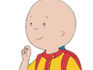 https://image.noelshack.com/fichiers/2017/42/4/1508364012-caillou84.png