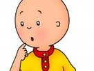 https://image.noelshack.com/fichiers/2017/42/4/1508364049-caillou5.jpg