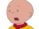 https://image.noelshack.com/fichiers/2017/42/4/1508364138-caillou24.png