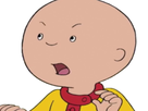 https://image.noelshack.com/fichiers/2017/42/4/1508364200-caillou31.png