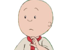 https://image.noelshack.com/fichiers/2017/42/4/1508364328-caillou70.png