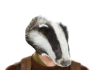 https://image.noelshack.com/minis/2017/42/4/1508435169-mini-3472679234full2.png