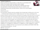 https://image.noelshack.com/fichiers/2017/42/4/1508436136-bel-omnibus-samere.png