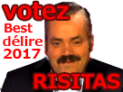 https://image.noelshack.com/fichiers/2017/42/5/1508525818-votezrisitas.png
