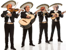 https://image.noelshack.com/fichiers/2017/43/5/1509057093-mexi7.png