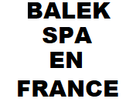 https://image.noelshack.com/fichiers/2017/43/6/1509184198-balekspaenfrance.png