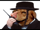 https://image.noelshack.com/minis/2017/44/3/1509566427-brigadesducrif.png
