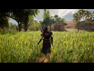 https://www.noelshack.com/2017-44-3-1509567307-assassin-s-creed-r-origins-20171024202941.png