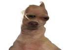 https://image.noelshack.com/minis/2017/44/4/1509652946-chien.png
