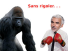 https://image.noelshack.com/fichiers/2017/44/5/1509740466-1509740178987.png
