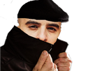 https://image.noelshack.com/fichiers/2017/44/7/1509880615-1499476052-fianso-incognito.png
