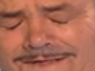 https://image.noelshack.com/fichiers/2017/44/7/1509919105-1484500158-risitaszoom6.png