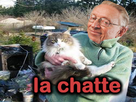 https://image.noelshack.com/minis/2017/45/1/1509928162-lachatte2.png