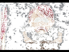 https://image.noelshack.com/fichiers/2017/45/3/1510138934-sp.gif