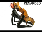 https://image.noelshack.com/minis/2017/45/3/1510174411-renarded.png