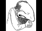 https://image.noelshack.com/minis/2017/45/4/1510253552-810399.png