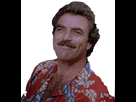 https://image.noelshack.com/minis/2017/45/5/1510271342-tomselleck-portrait-sourire-magnum.png