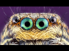 https://image.noelshack.com/minis/2017/45/6/1510427424-2166230-sipa-00781148-000001.png