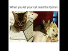 https://image.noelshack.com/minis/2017/45/7/1510441372-d6837e27ab85ea77.png