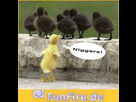 https://image.noelshack.com/minis/2017/45/7/1510442096-424191eb58a6a87f.png