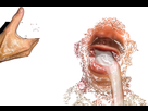 https://image.noelshack.com/minis/2017/45/7/1510502067-ayaaaaaaaaaaaaaaaaaaaa.png