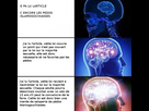 https://image.noelshack.com/minis/2017/45/7/1510513539-laloiexpliquee.png