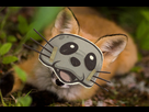 https://image.noelshack.com/minis/2017/46/1/1510534158-fox.png