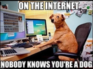 https://image.noelshack.com/minis/2017/46/1/1510539029-on-the-internet-nobody-knows-youre-a-dog-meme-1.png