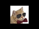 https://image.noelshack.com/minis/2017/46/1/1510556649-fdpcool.png