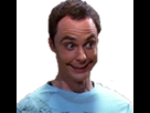 https://image.noelshack.com/minis/2017/46/1/1510607631-sheldon-sourire-kekeh-1.png