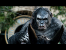 https://image.noelshack.com/minis/2017/46/1/1510608735-dawn-of-the-planet-of-the-apes-koba.png