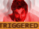 https://image.noelshack.com/fichiers/2017/46/2/1510690438-1757-full.gif