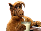 https://www.noelshack.com/2017-46-3-1510765818-alf-lait.png